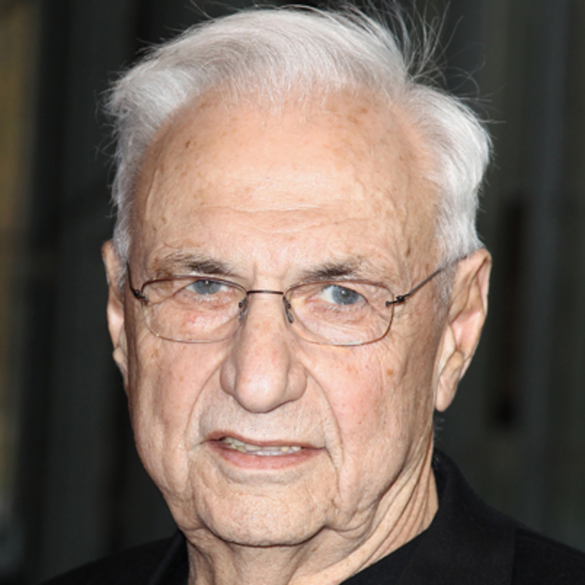 architect frank gehry